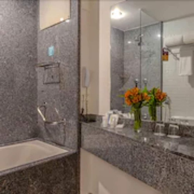 Фото Blue Tree Premium Paulista