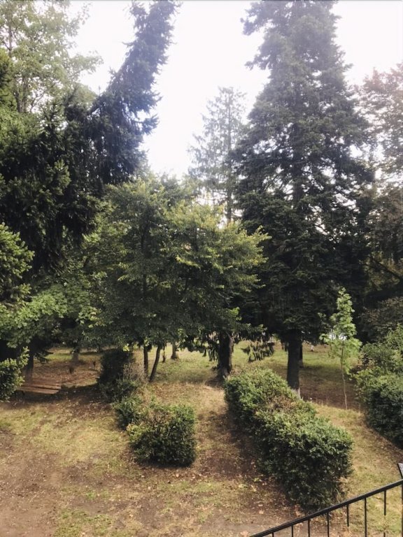 Фото Отель The Residence Mountain Resort