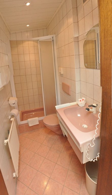 Фото Hotel Zlami - Holzer