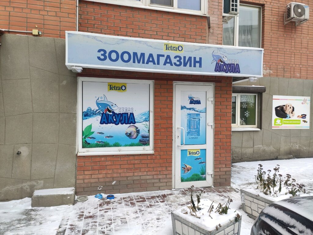 Магазин Белая Акула Ростов На Дону