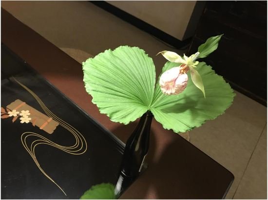 Фото Shinbashi Ryokan Japanese Style Hotel