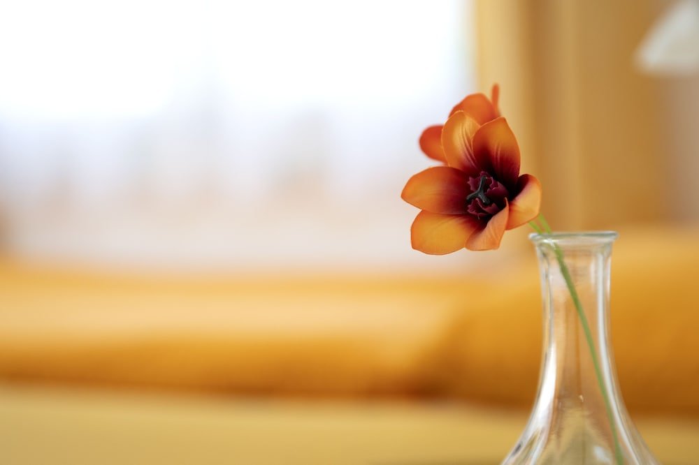 Фото Hotel Rotes Kreuz