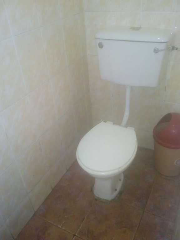 Фото Rising Phoenix