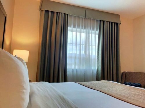 Гостиница Comfort Inn & Suites в Террасе