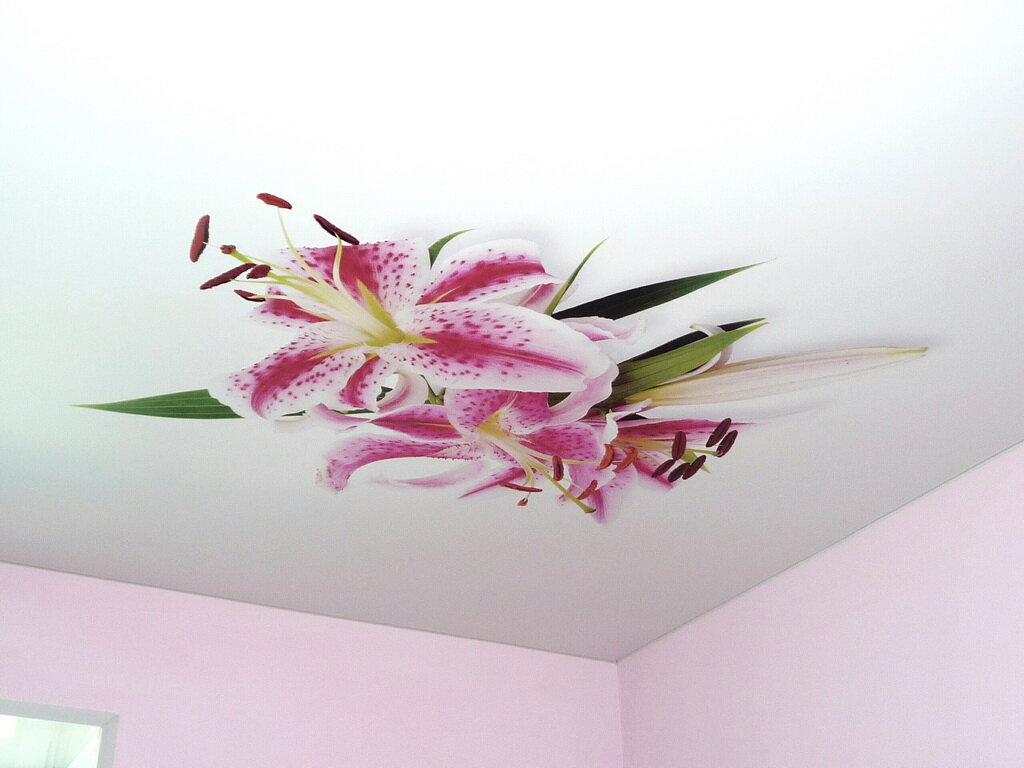 Рисунки натяжных потолков каталог