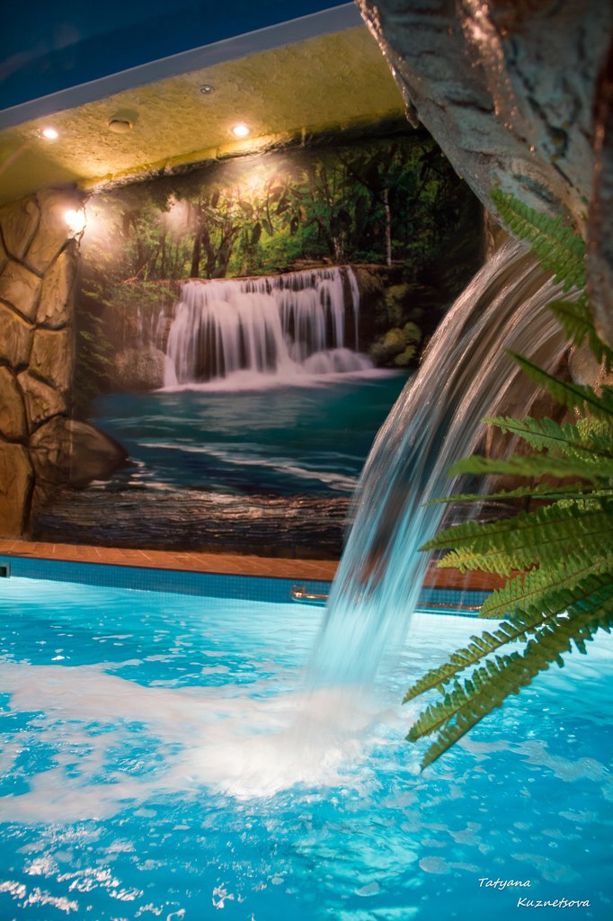 Фото Золотой Орел