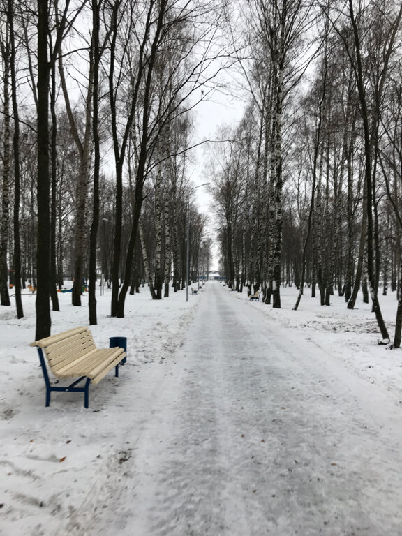 Park Комсомольский парк, Republic of Mordovia, photo