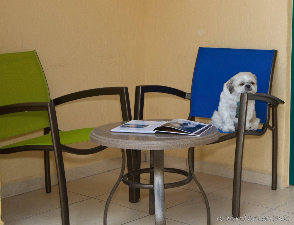 Фото Amsterdam Manor Beach Resort