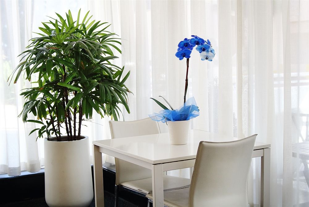 Фото Lorraine Hotel