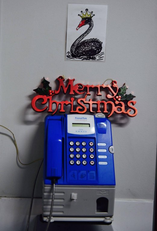 Фото The Emperors Crown Hostel