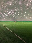 Arena Alfa Sport (Shipilovsky Drive, 63к2) ، ملعب