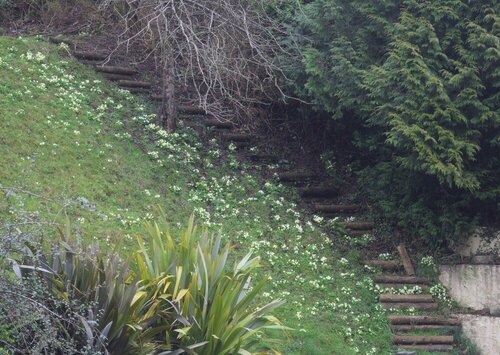 Гостиница Wye Valley Hotel в Уэльсе