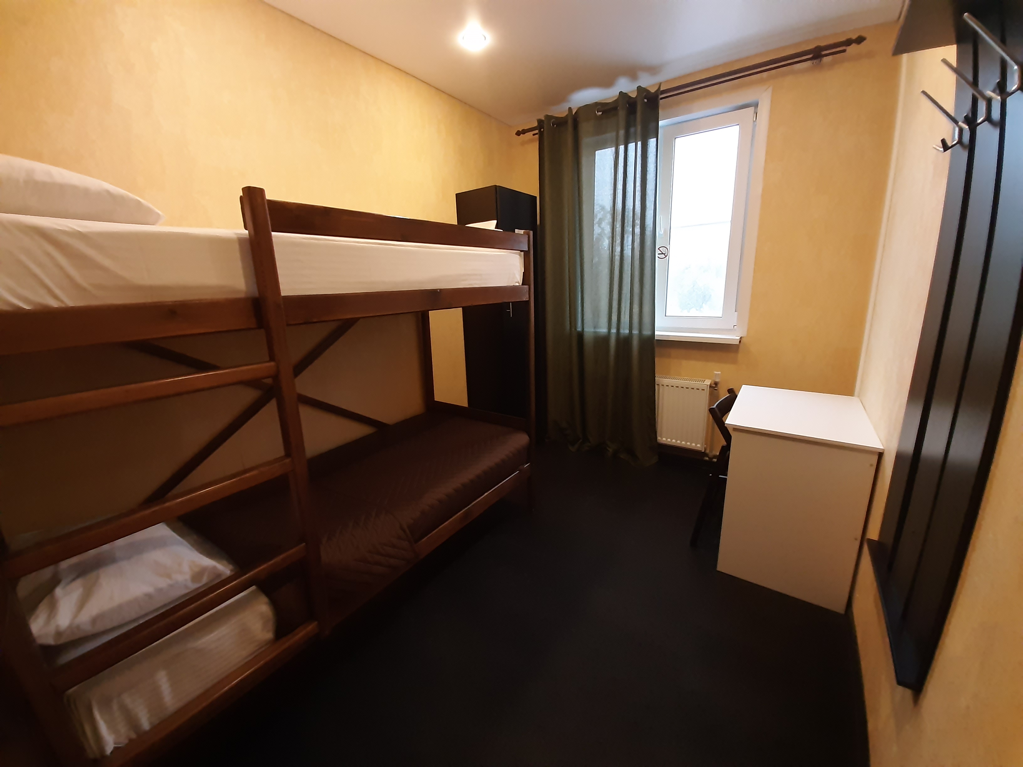 Фото Толстый кот