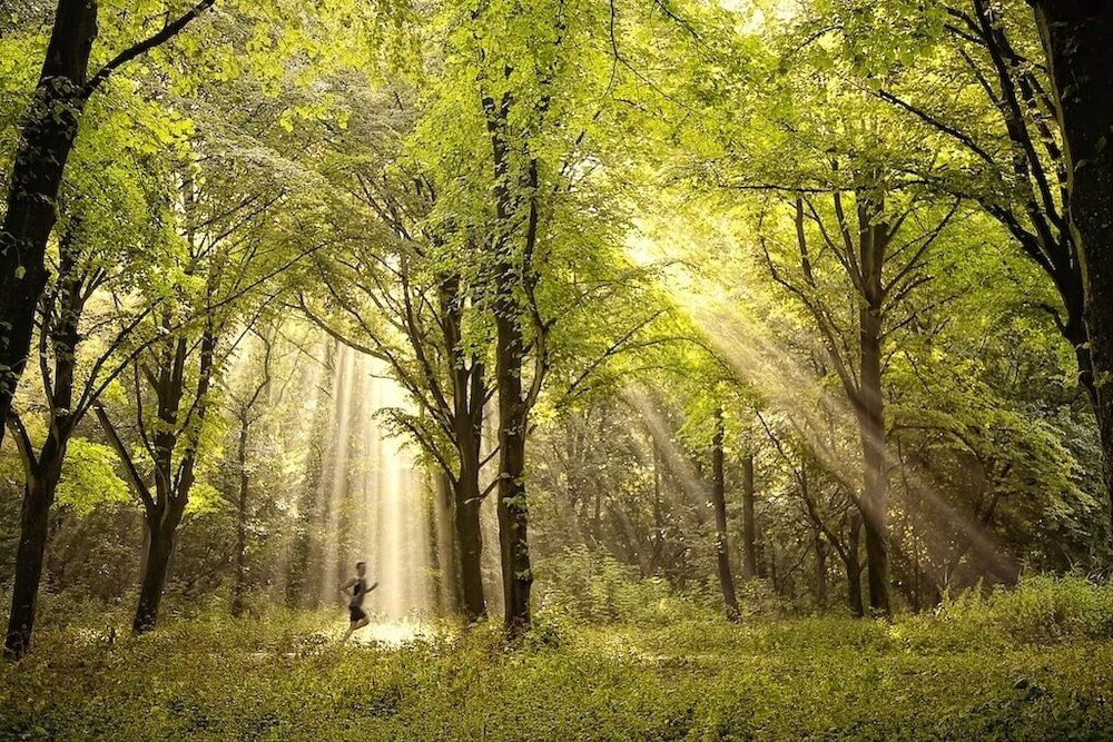 Фото Hotel & Wellness Zuiver