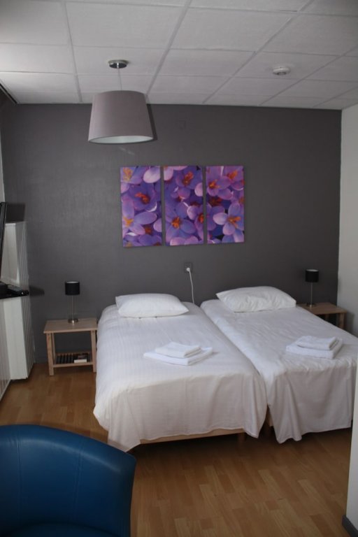 Фото Hotel Saint Vincent