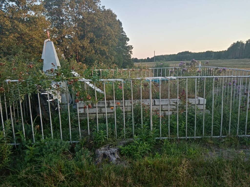 Monument, memorial Братская могила воинов, погибших при освобождении, Bryansk Oblast, photo