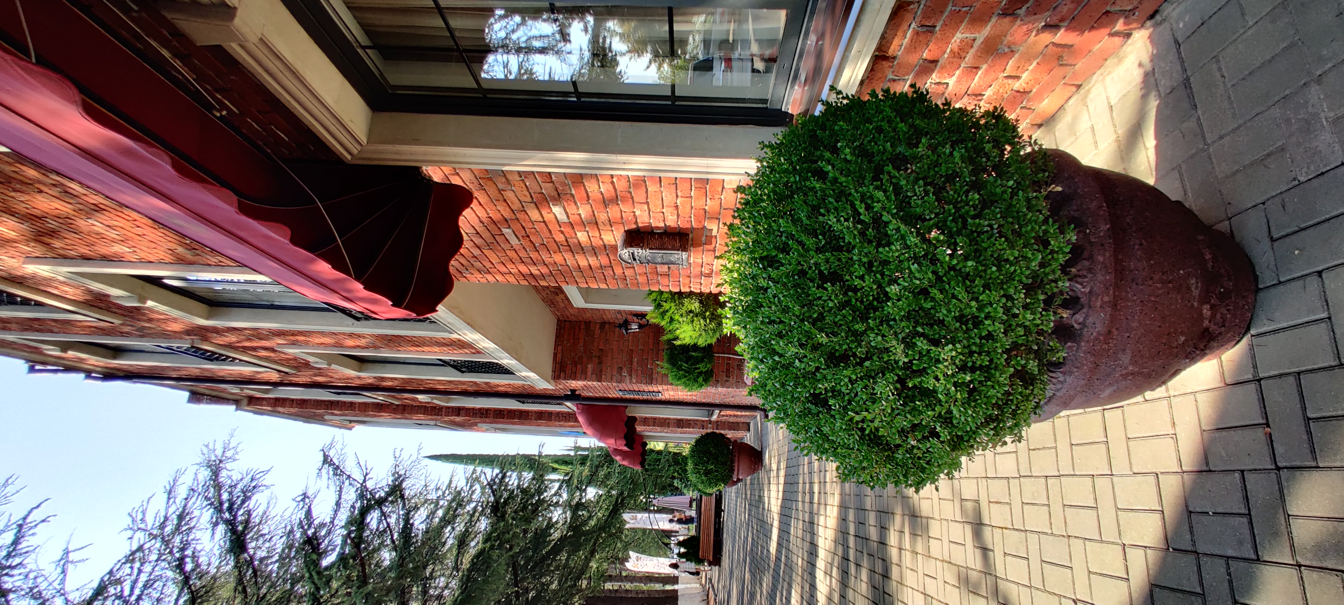 Фото Курортный отель Афон