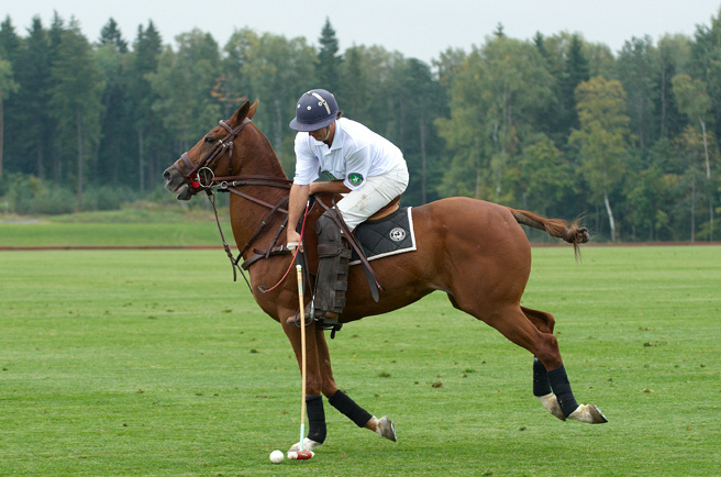 Фото Tseleevo Club & Resort