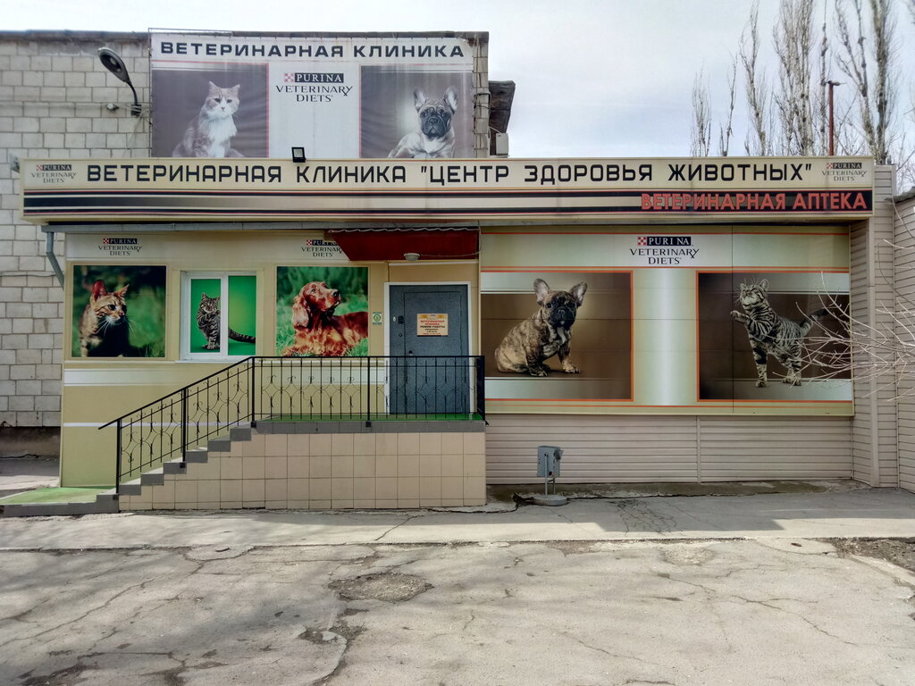 Ветеринарная клиника киев