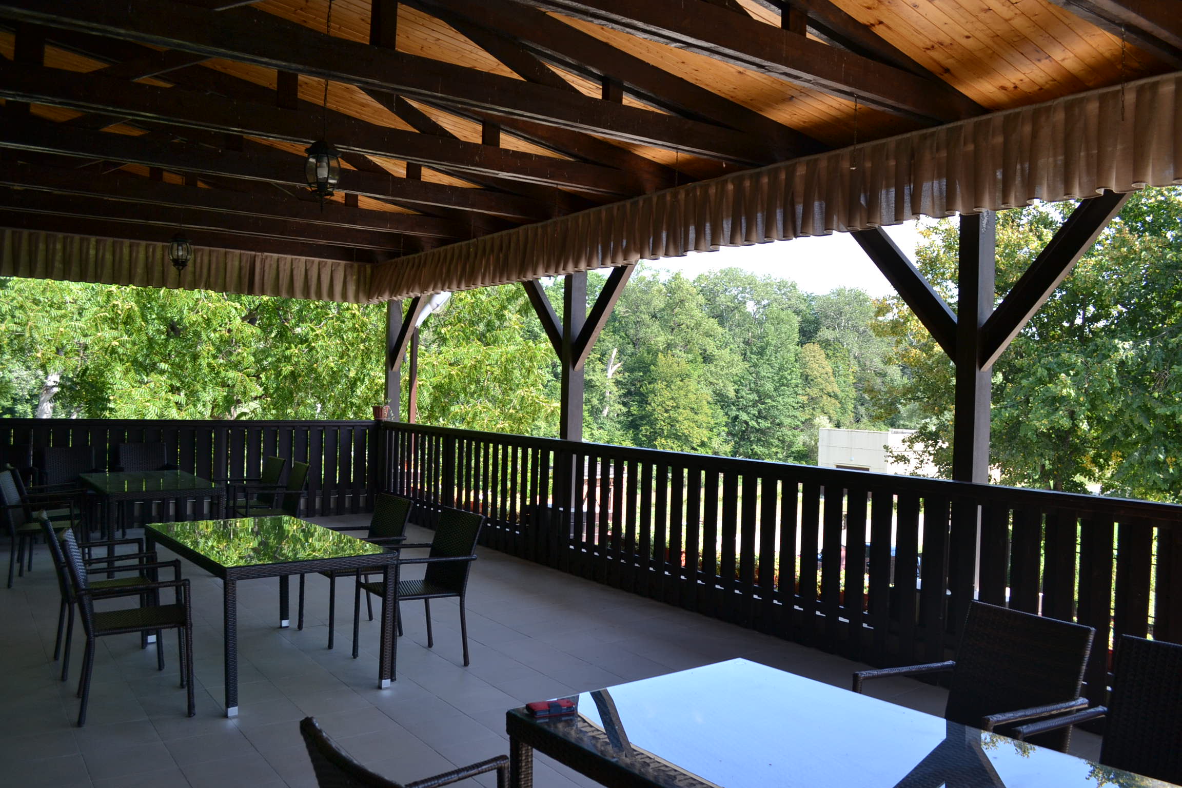 Фото Светлый