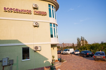 Фото Воробьиное гнездо