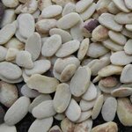 Agroprodmash (pereulok Skryabina, 6) ، الآلات والمعدات الزراعية