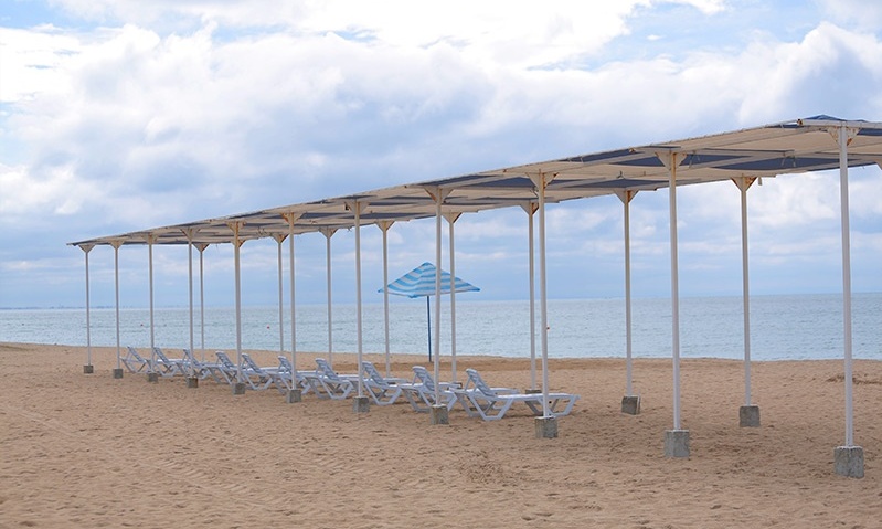 Фото Возрождение