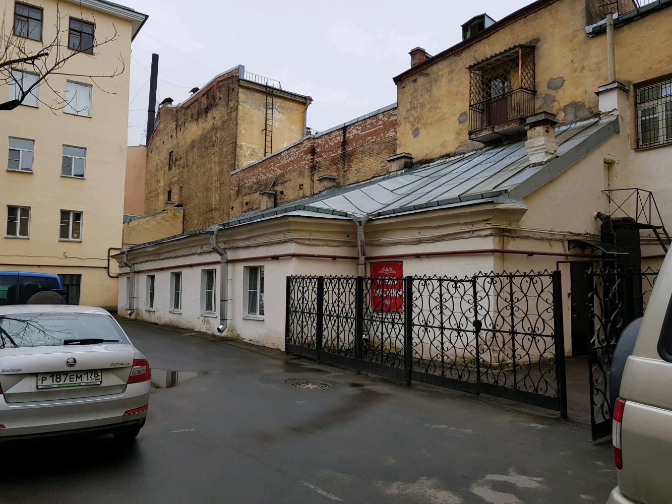 Фото Жасмин