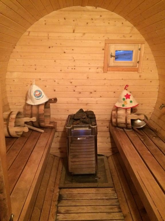 Фото Викинг