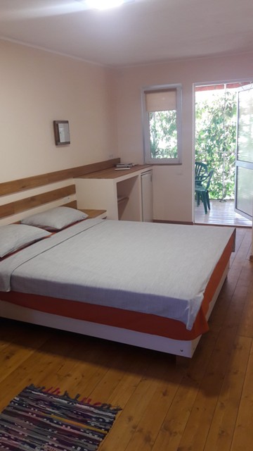 Фото Кактус