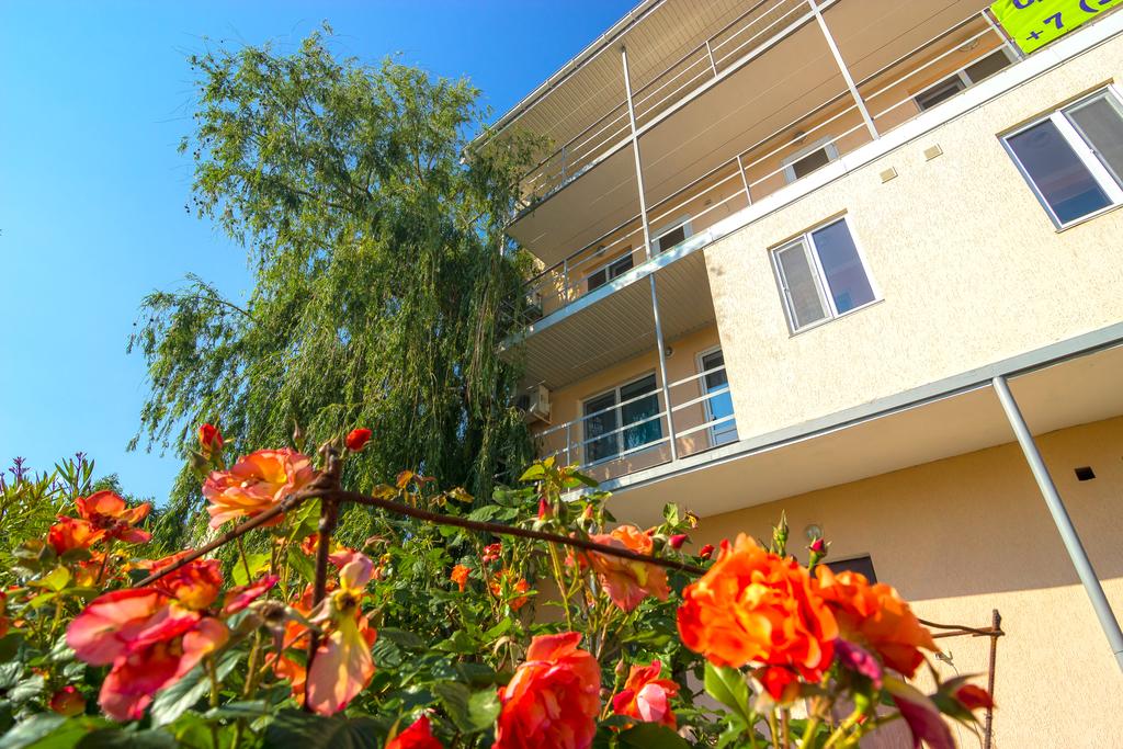 Фото МоревдоМ