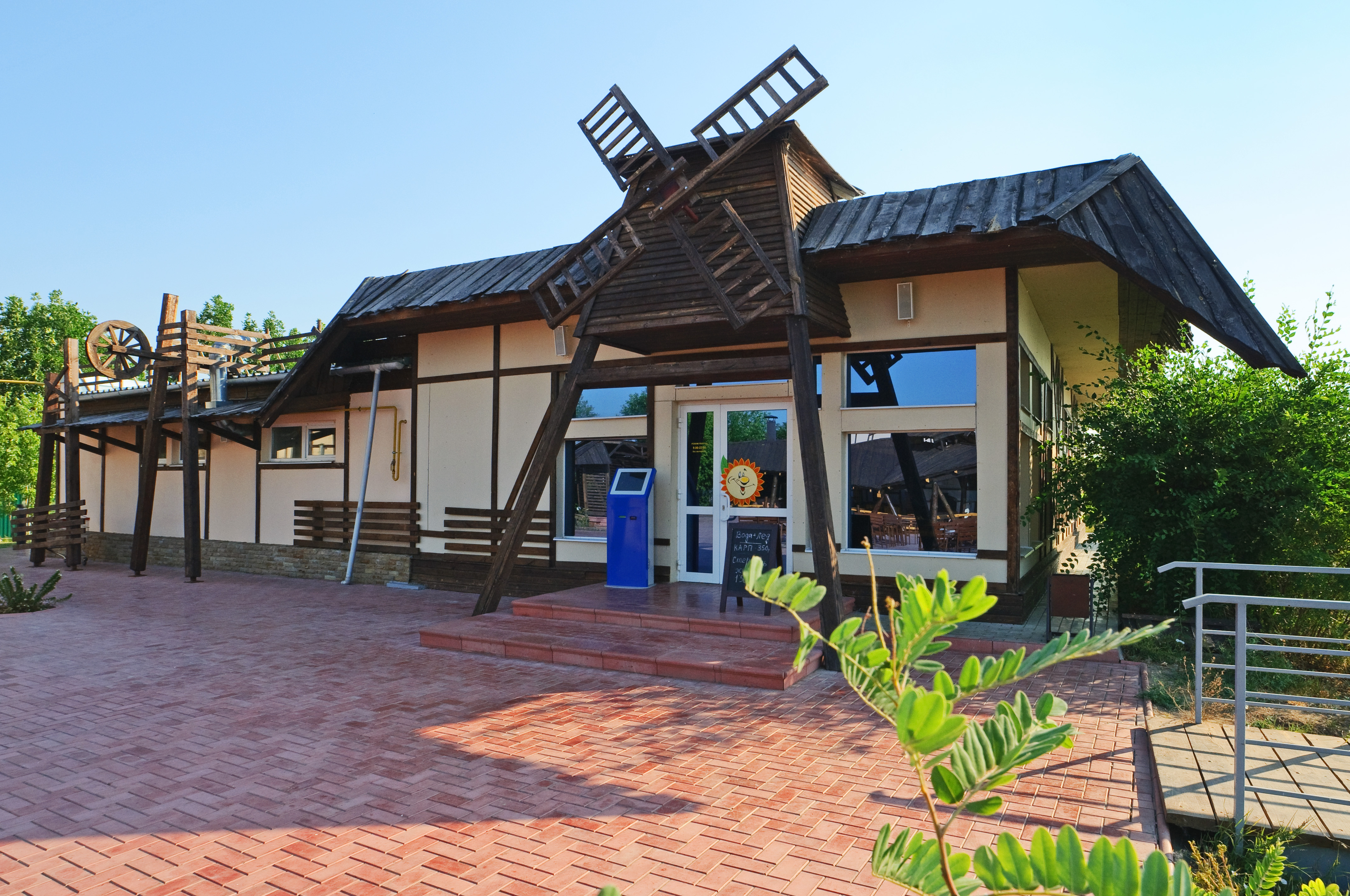 Фото Подсолнух