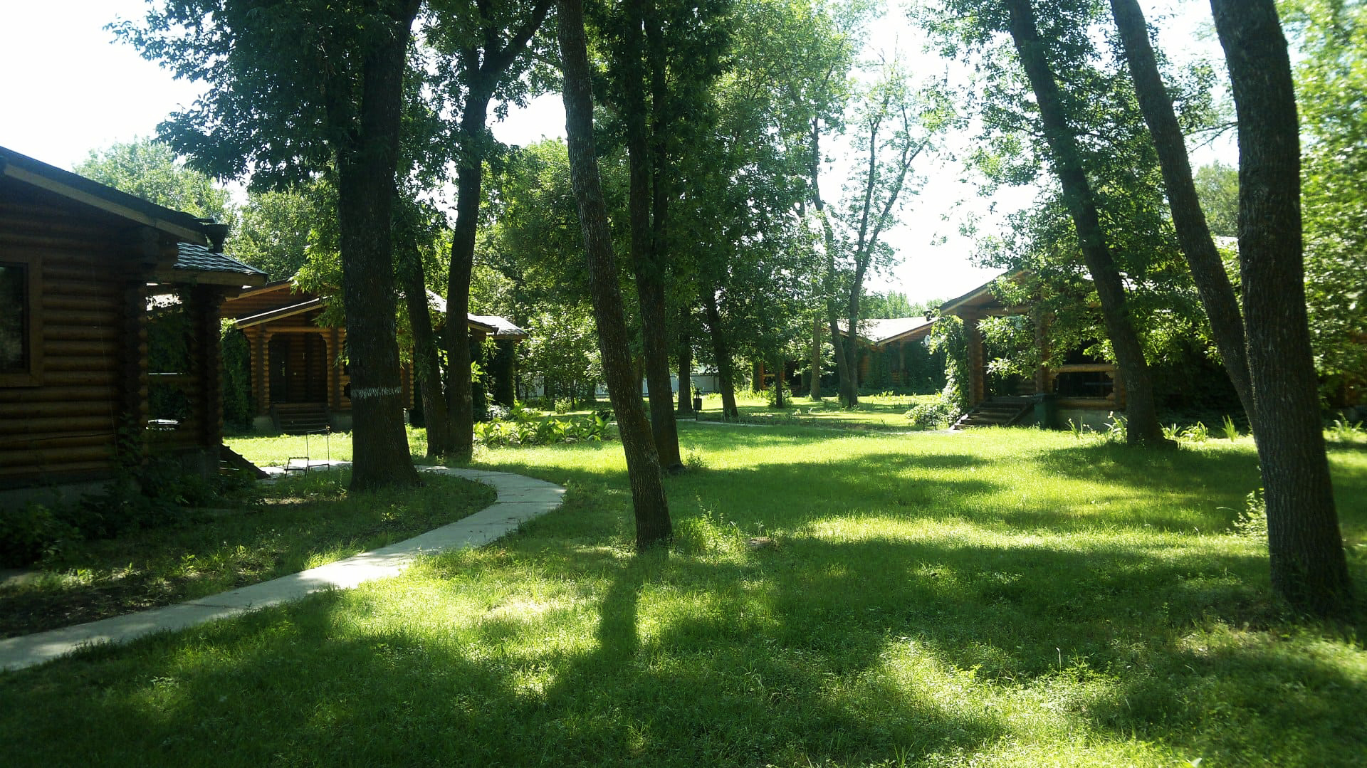 Фото Лесная