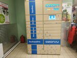 Ozon терминал (Vvedenskogo Street, 29), parcel automat