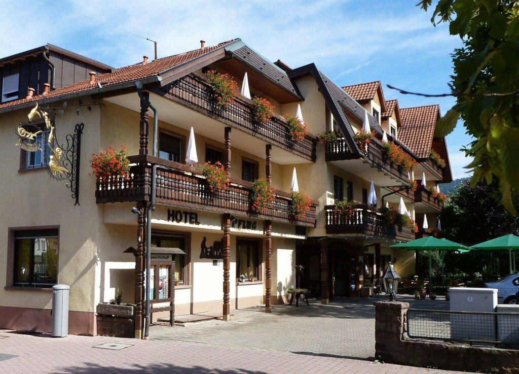 Hotel Hotel Pflug, Baden‑Wurttemberg, photo