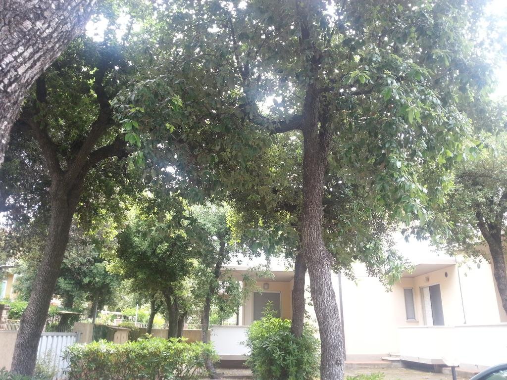 Фото Venere Flat