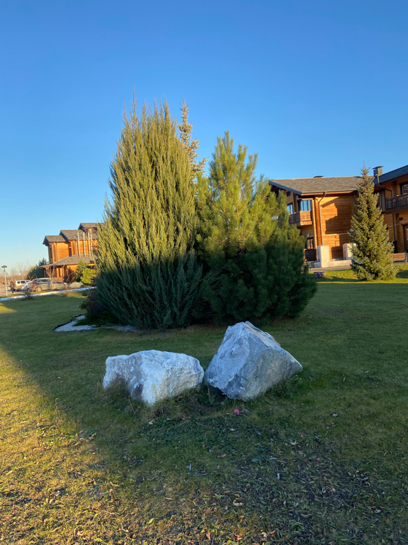 Фото Ветерок