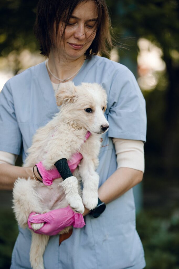 Veterinary clinic Zdoroviy Hvost, Moscow, photo
