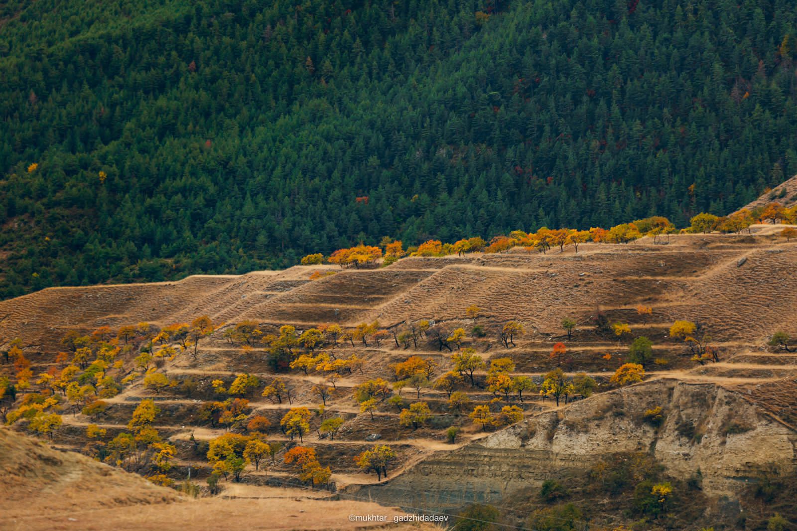 Фото У Зайнаб