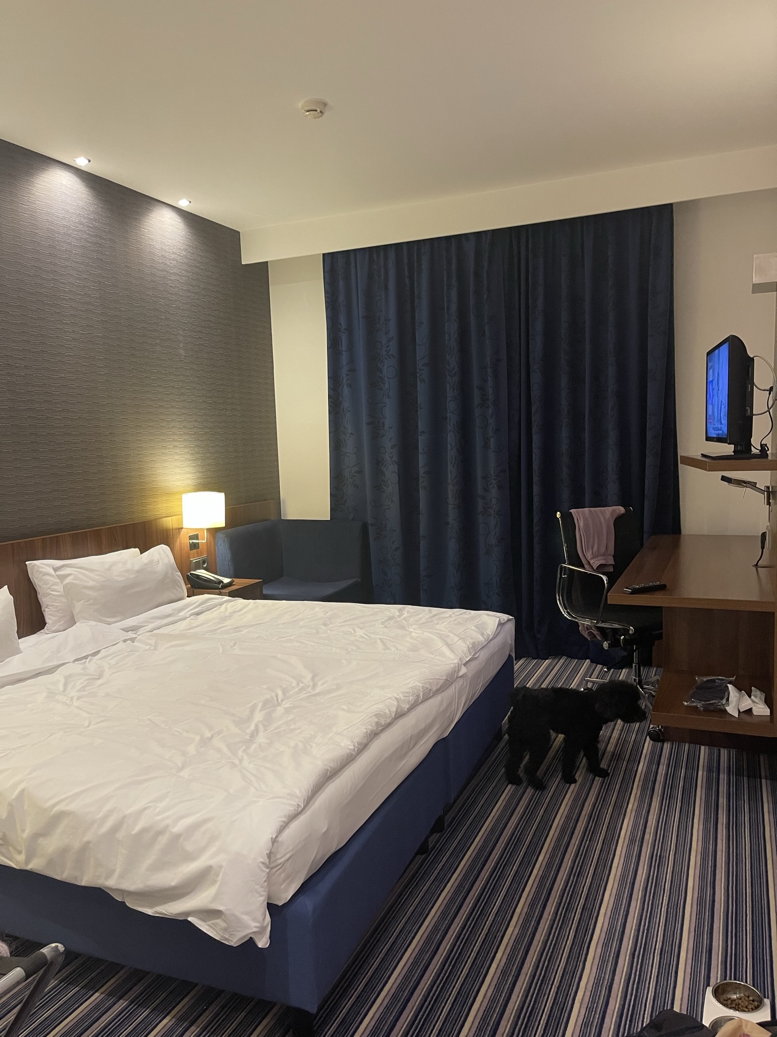 Фото Cosmos Smart Voronezh