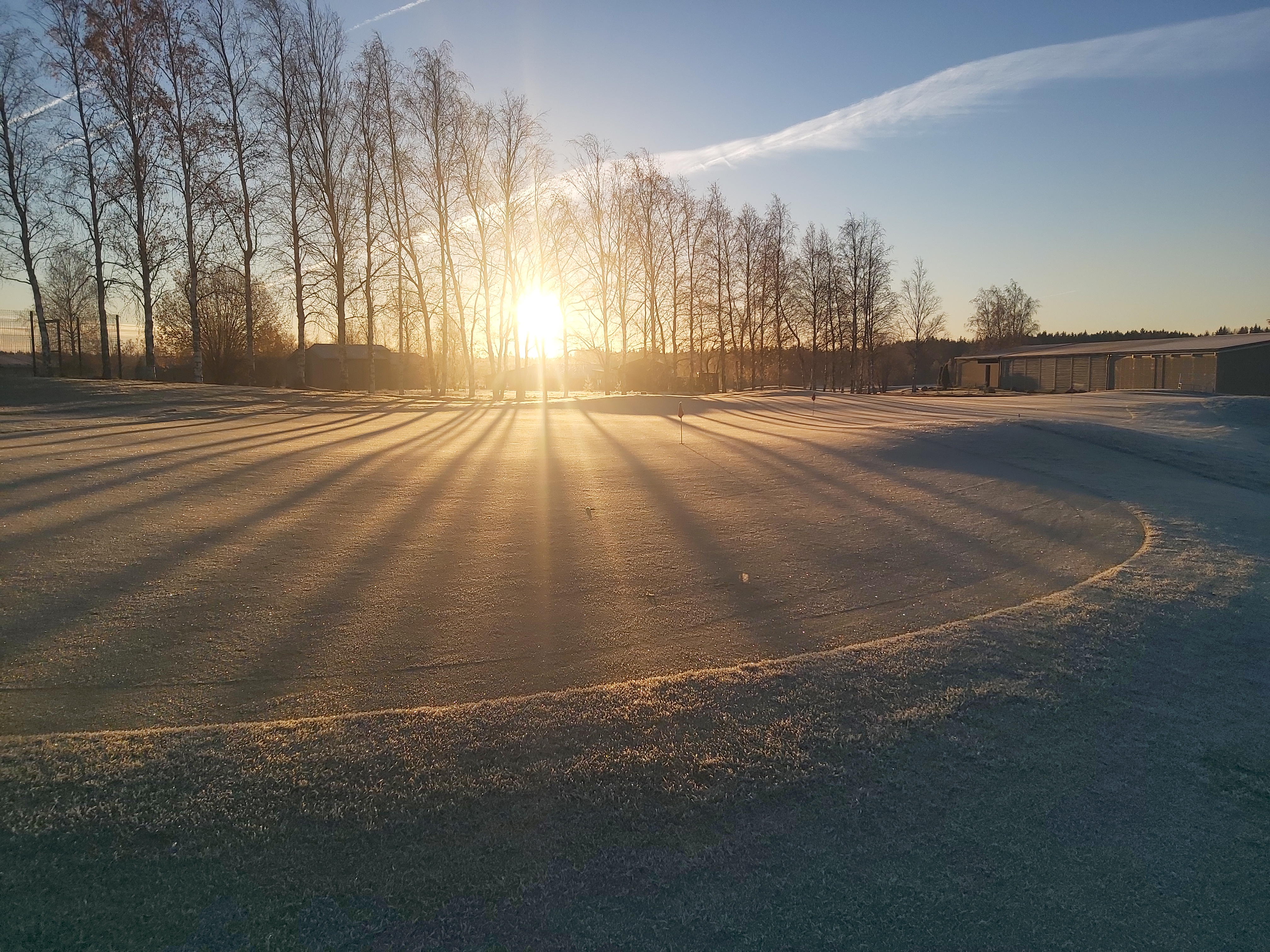 Фото Земляничные Поляны