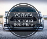 Везу Домой (ул. Моисеенко, 22Б, Санкт-Петербург), услуги водителя без автомобиля в Санкт‑Петербурге