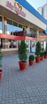 My Tados (Shogentsukova Avenue, 16) ، مقهى
