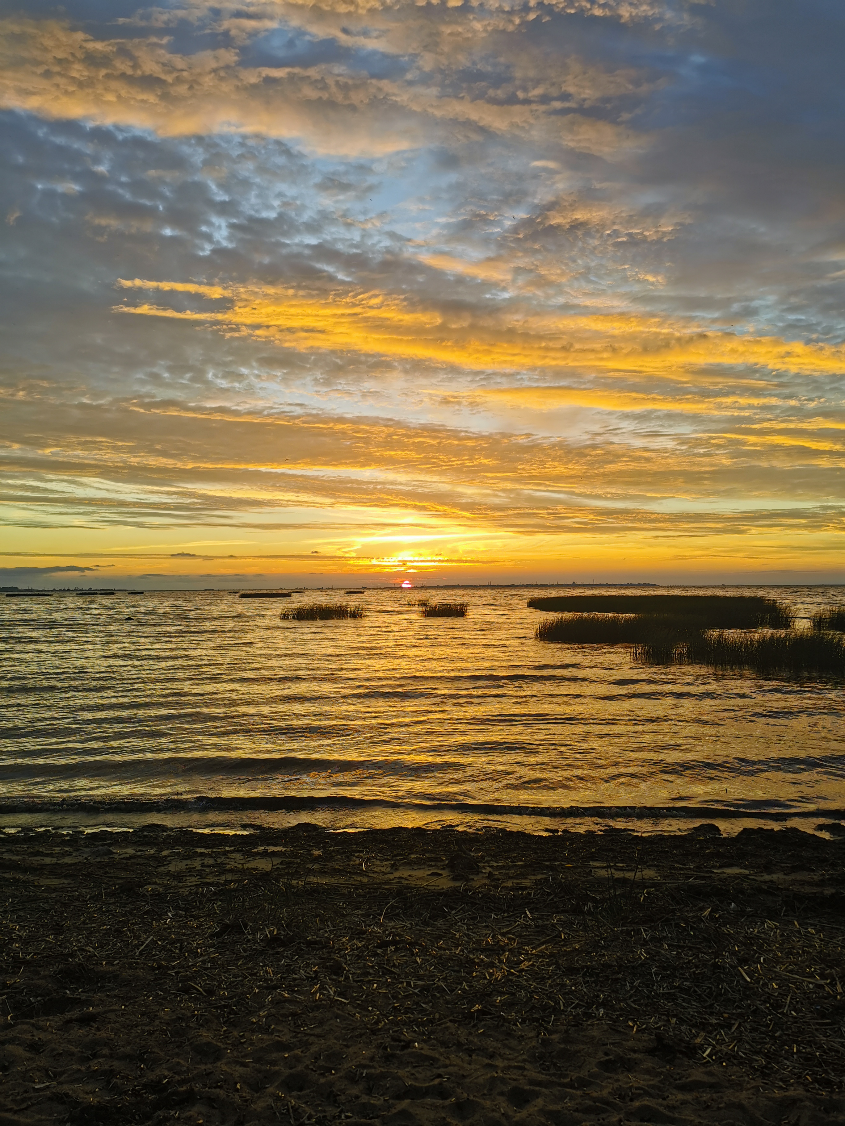 Porno ogrini ushladi