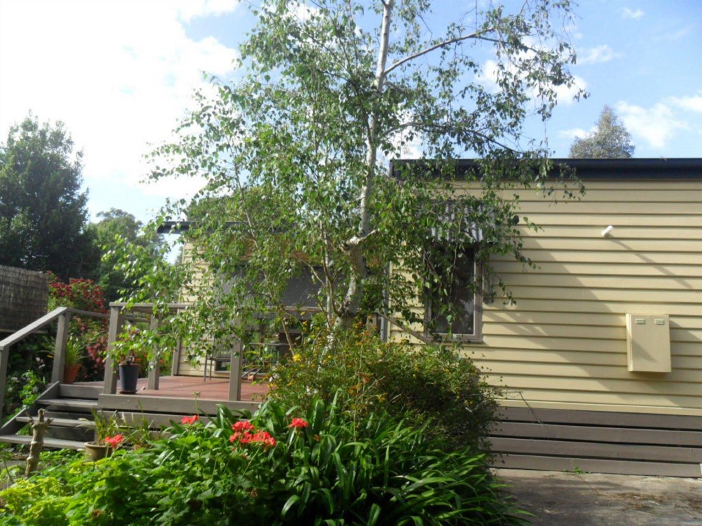 Фото Australian Home Away at Wonga Park Brushy Creek