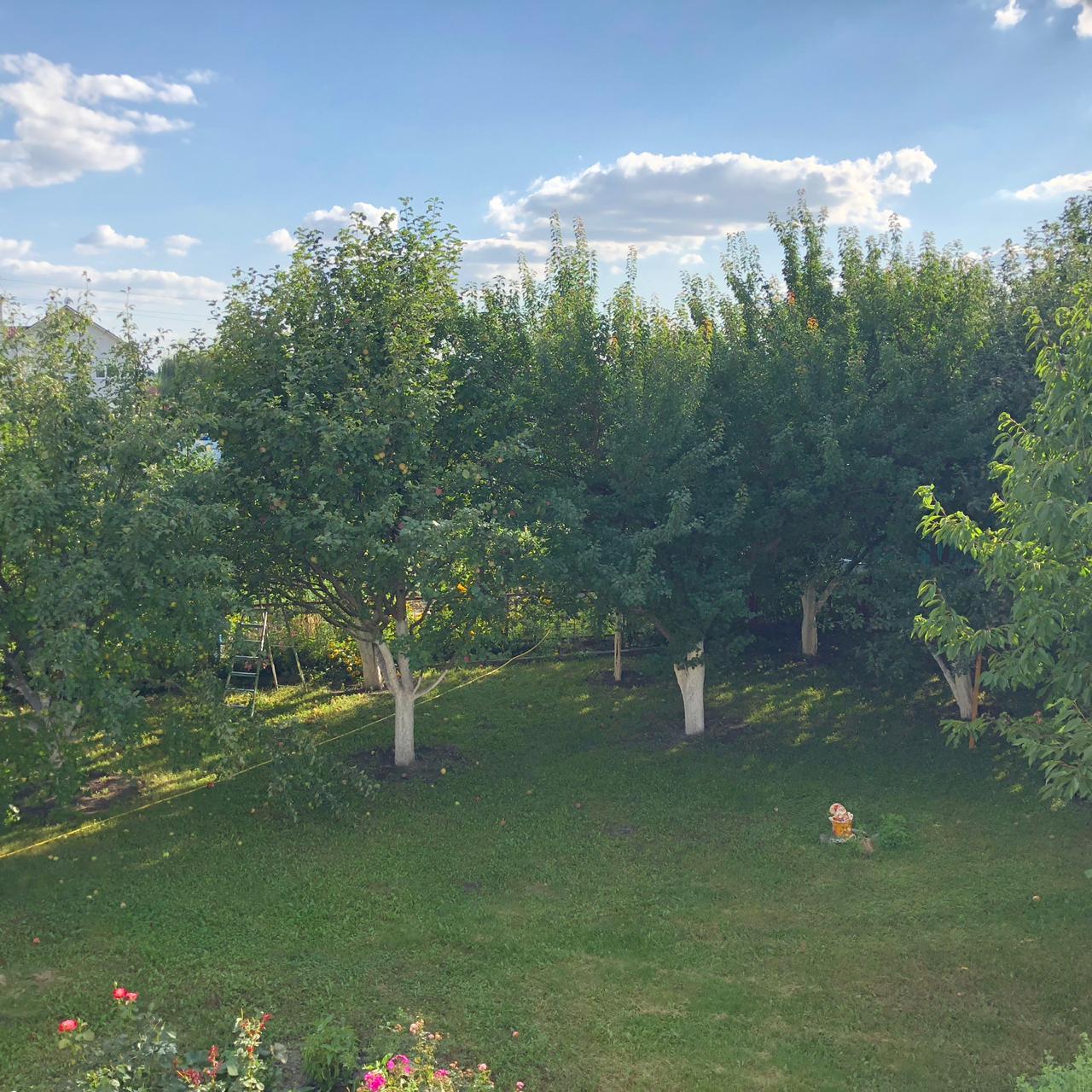 Фото Санта Мария