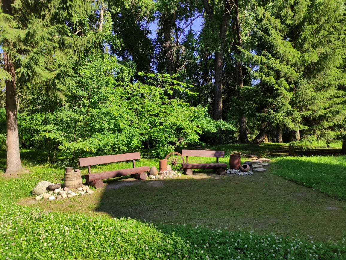 Фото Солониха