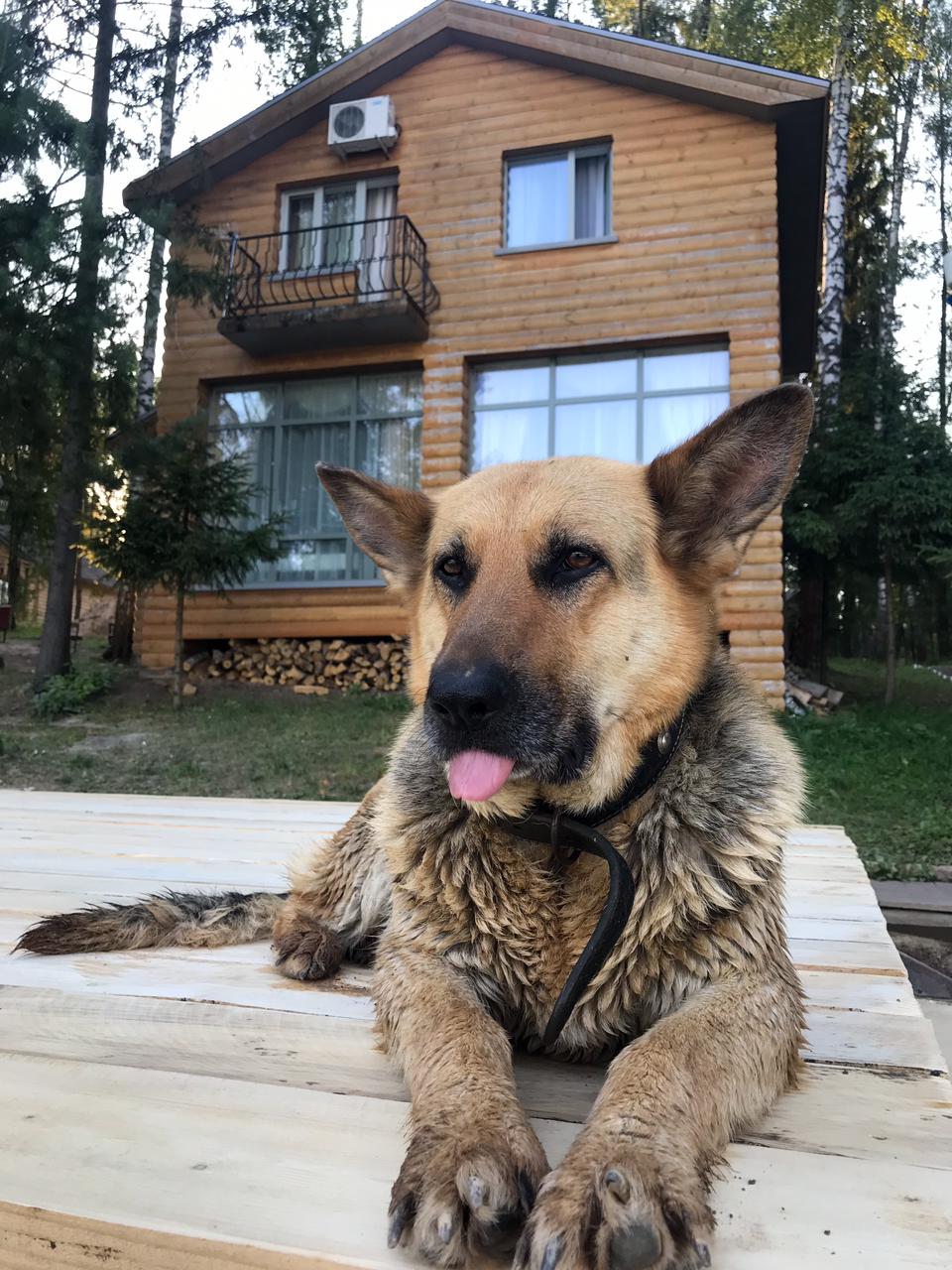 Фото Нептун-2