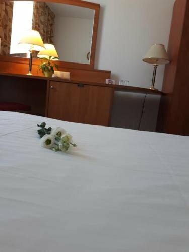 Гостиница Pirat Hotel & SPA в Ольштыне