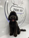 Paw Art Pet Salon (İstanbul, Şişli, Teşvikiye Mah., Prof. Dr. Orhan Ersek Sok., 16A), evcil hayvan kuaförleri  Şişli'den
